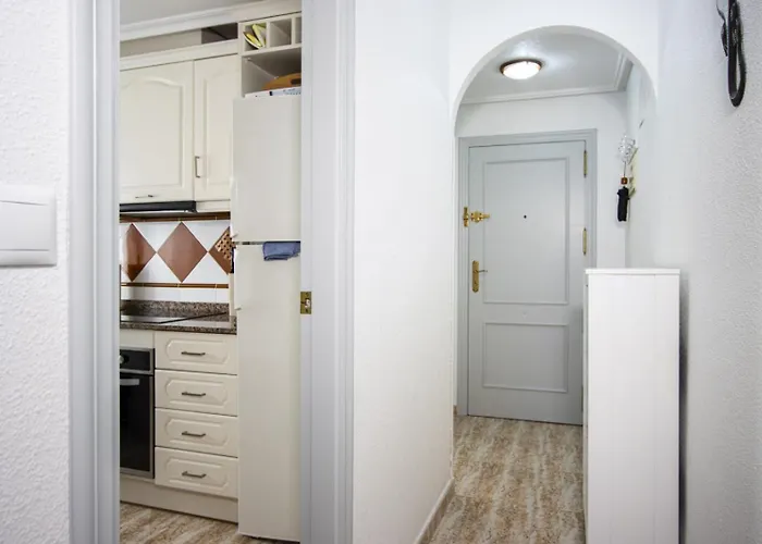 Alegria Id197 Lägenhet Torrevieja