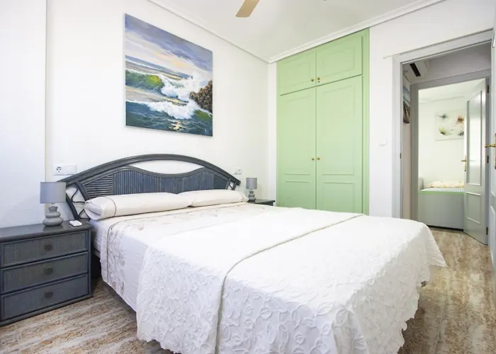 Alegria Id197 Torrevieja